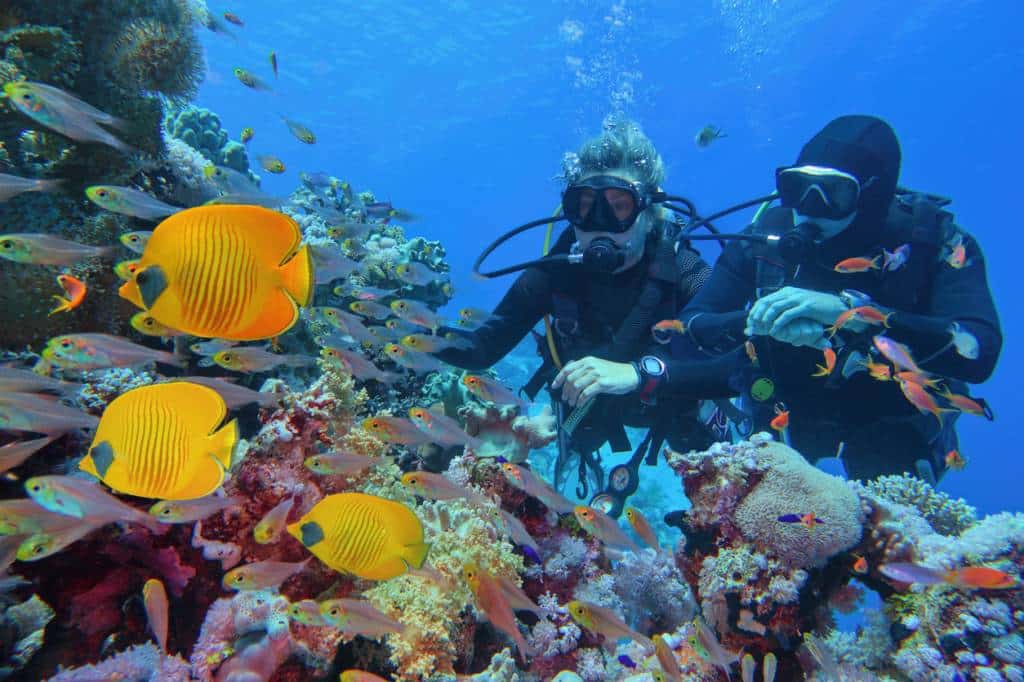 Plongée sous-marine activité sensations